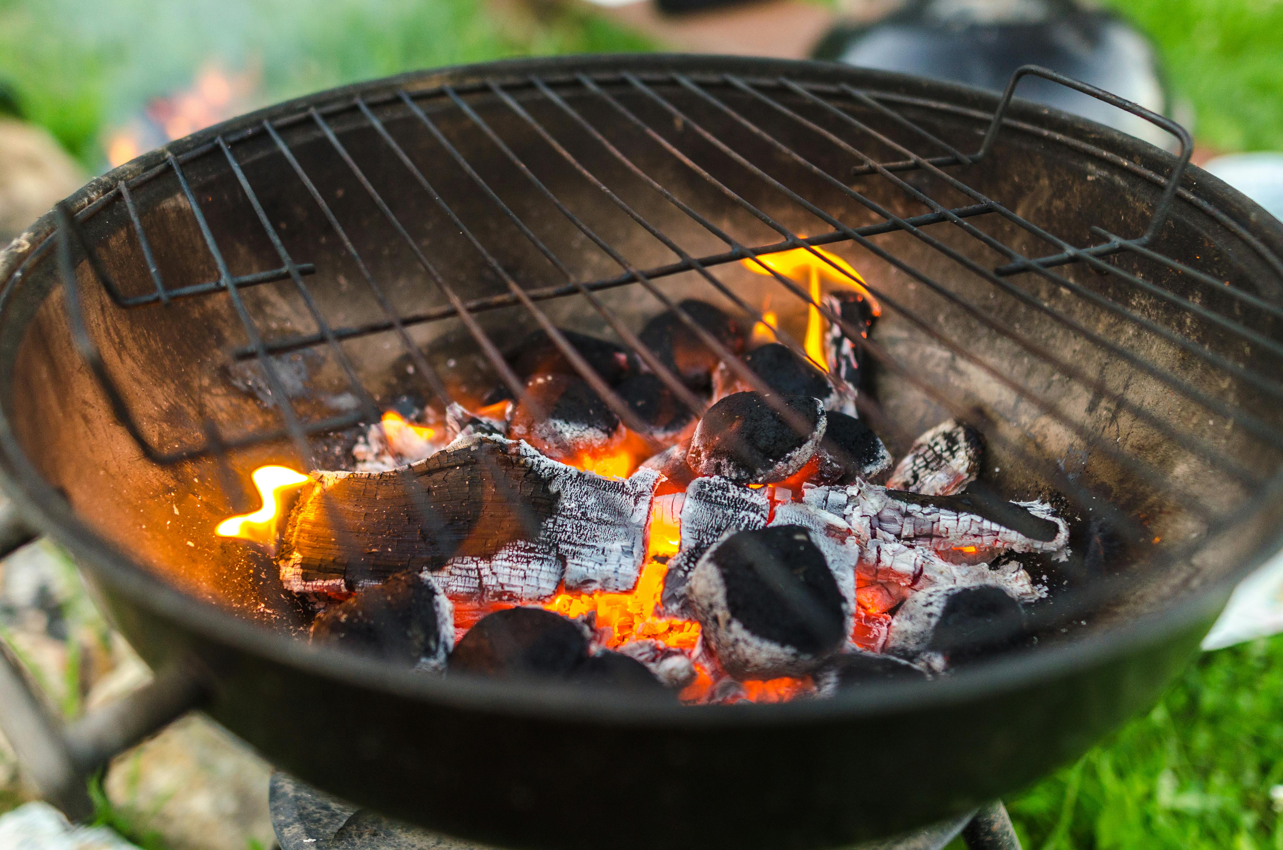 Alumni Event: Grillabend in Frankfurt
